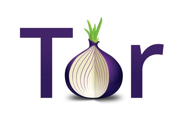 Tor hydra link